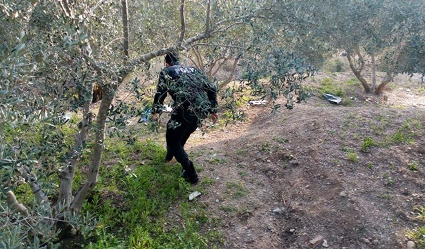Adana'da bir kişi zeytinlikte bıçaklanmış halde bulundu