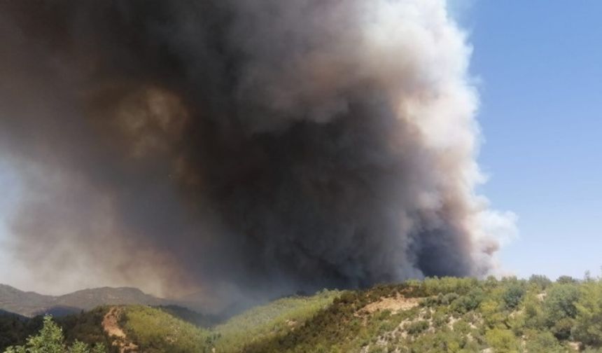 Antalya Manavgat Orman Yangını