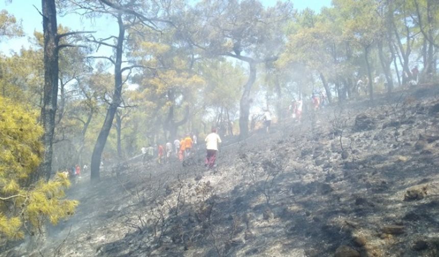 Kemer’de çıkan orman yangınları kontrol altına alındı