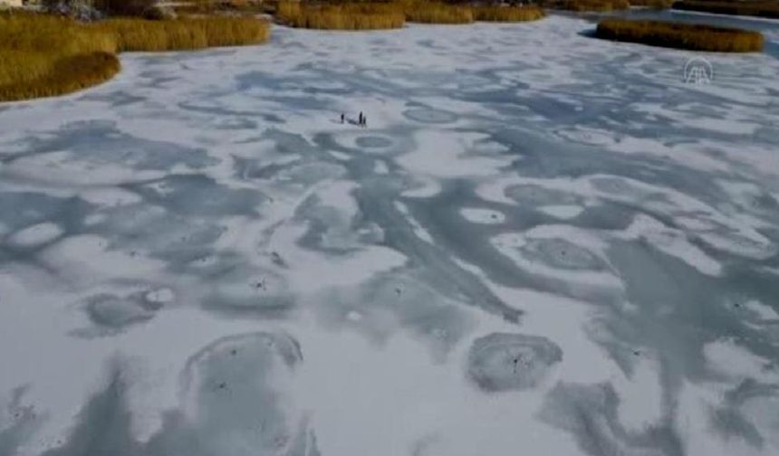 Kuş cenneti Dilkaya Sazlığı'nın yüzeyi buz tuttu