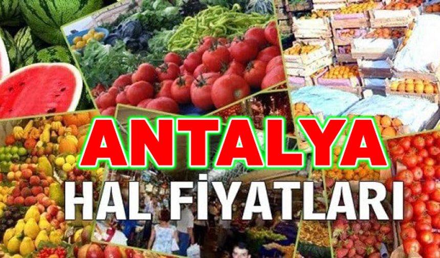 Antalya Hal Piyasa Fiyatları