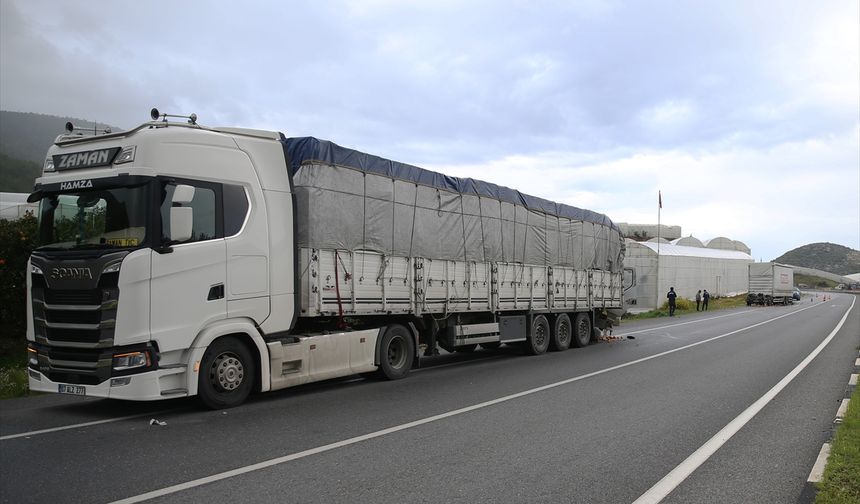Alanya'da iki tırın karıştığı trafik kazasında bir kişi yaralandı