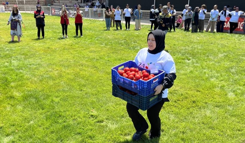 Domatesin hal fiyatı ne kadar?