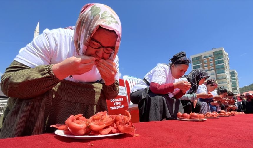 Köy domatesinin kilosu kaç TL?