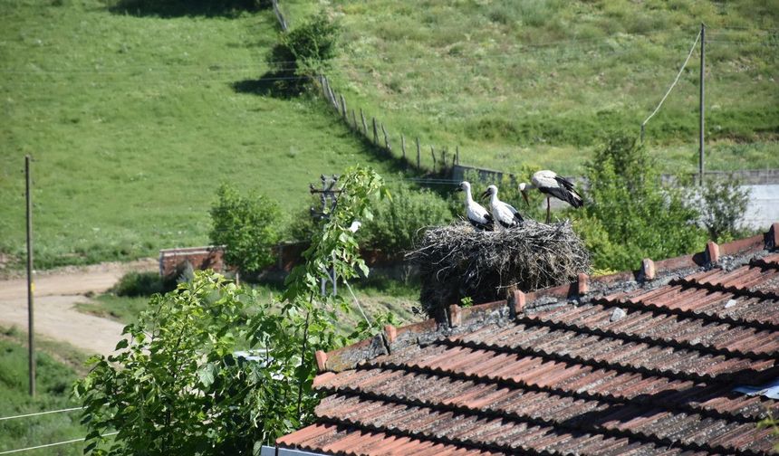Konya Karatay Tabiat Mektebi'nde uluslararası doğa deneyimi