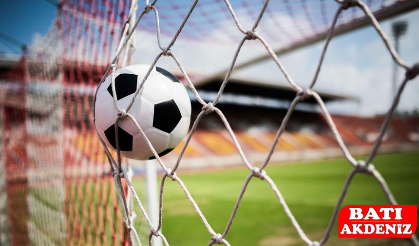 Profesyonel Liglerde Takım Sayısına TFF ayarı