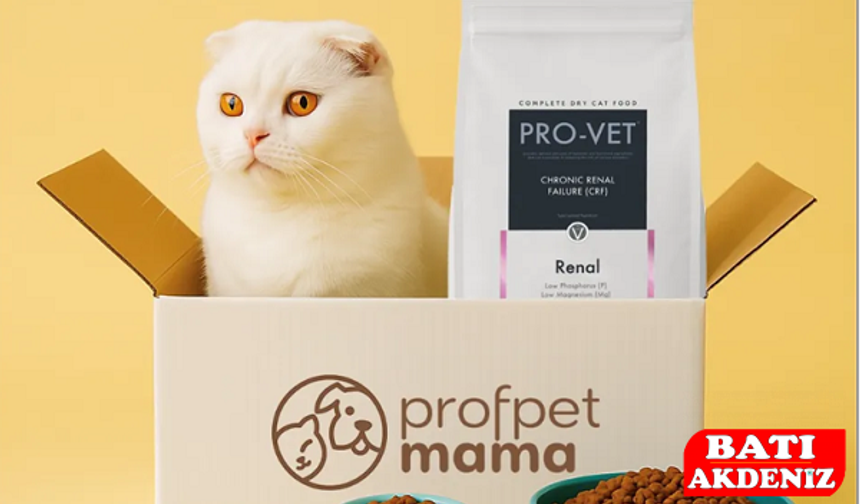 En Kaliteli Kedi Maması Nasıl Seçilir?