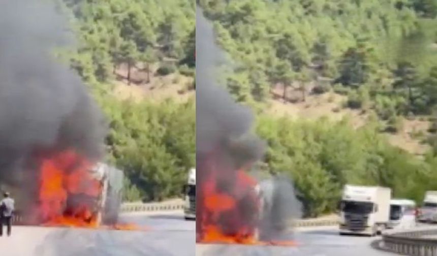 Motor kısmından alev aldı: Burdur'da buğday yüklü tır kül oldu