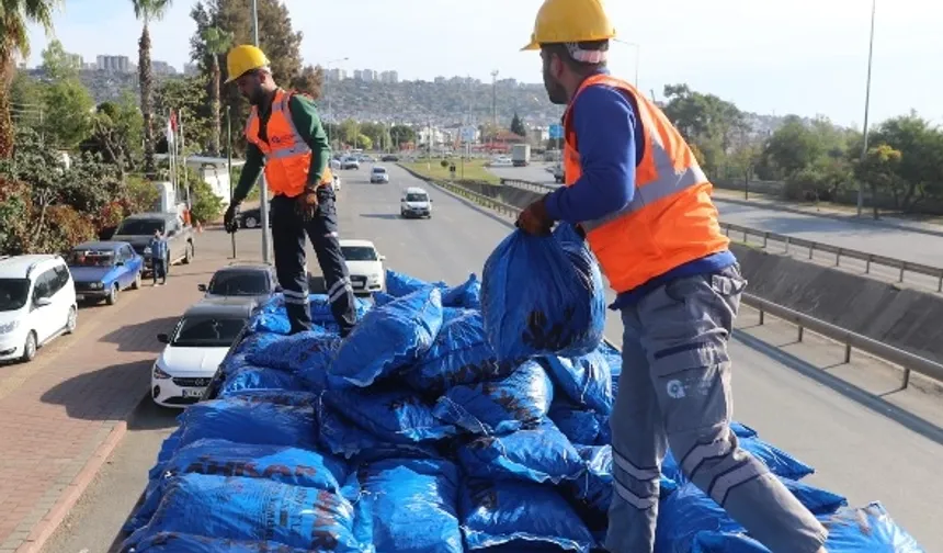 Antalya Büyükşehir'den kömüre sıkı denetim