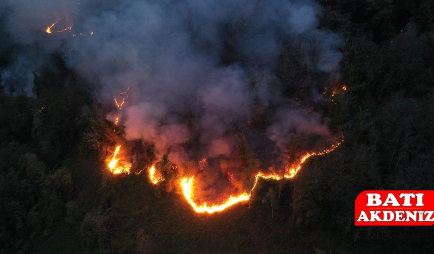 Artvin Hopa’da Örtü Yangını: Ekipler Alevlere Müdahale Ediyor