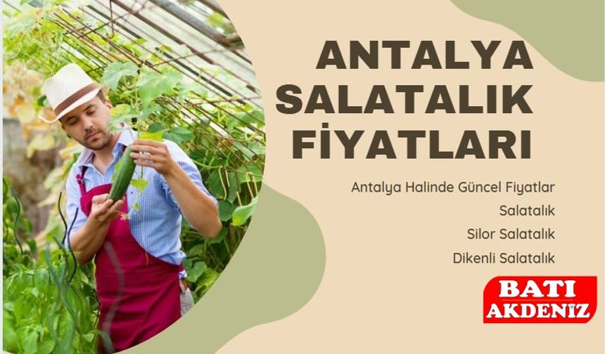 Antalya Salatalık Fiyatları Bugün