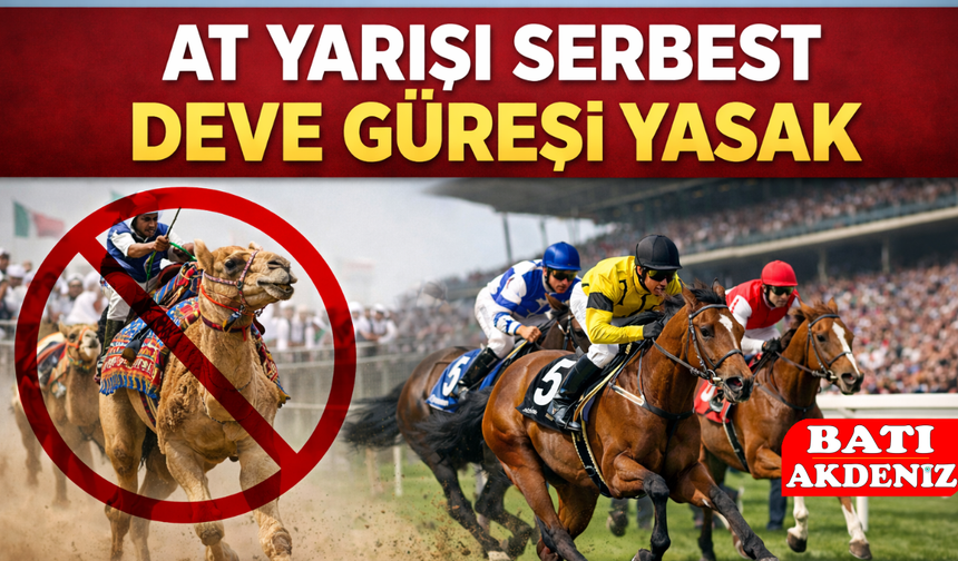 At Yarışı Serbest, Deve Güreşi Yasak!