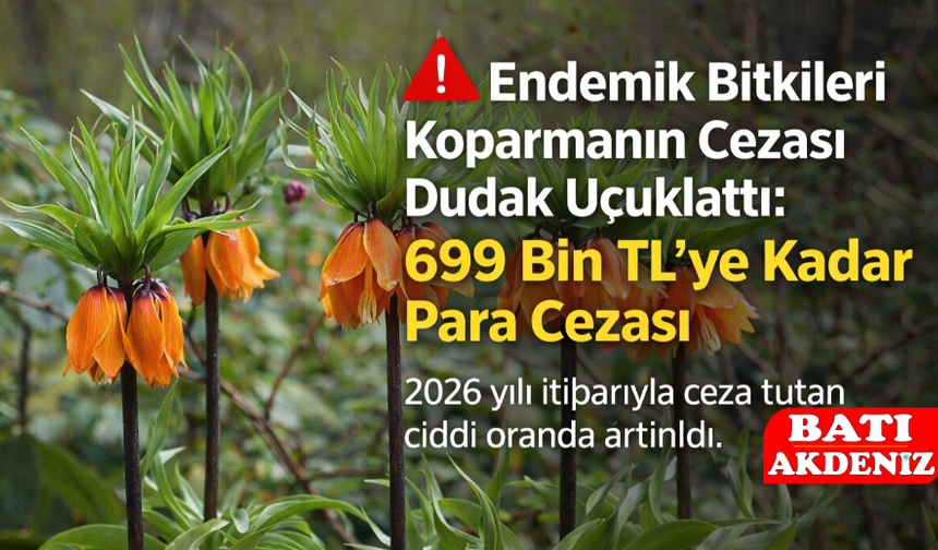 Bu Bitkileri Koparmanın Cezası 700 Bin TL