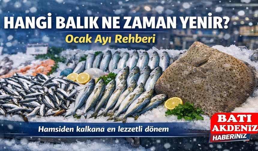 Hangi Balık Ne Zaman Yenir? Ocak Ayı Rehberi