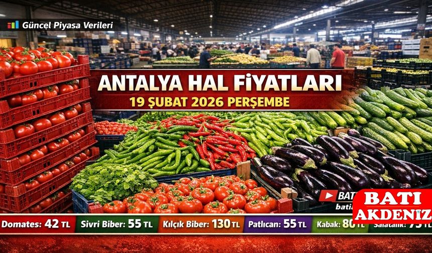 Antalya Hal Fiyatları