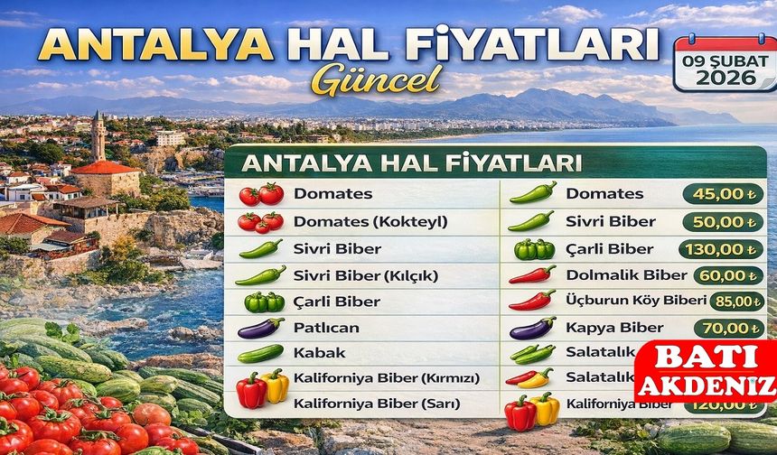 Antalya Hal Fiyatları Güncel
