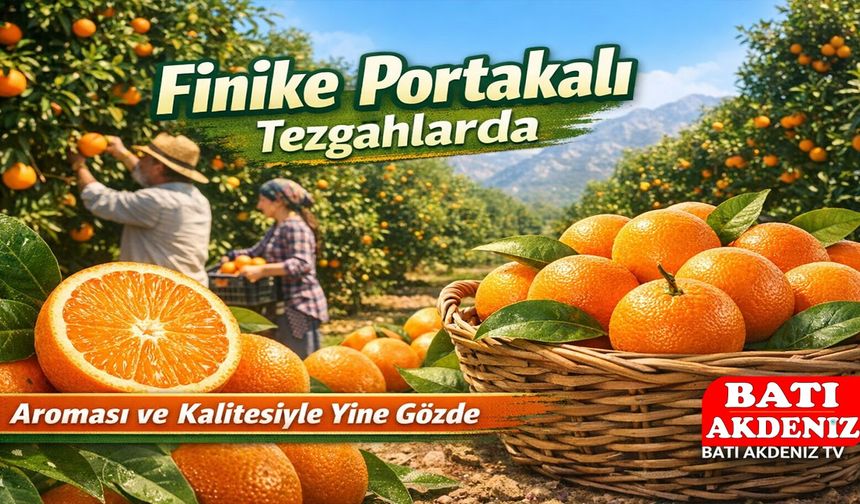 Finike Portakalı Tezgâhlarda