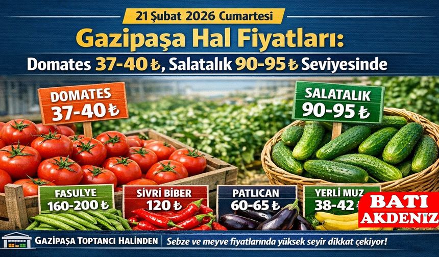 21 Şubat 2026 Gazipaşa Hal Fiyatları: Domates, Salatalık Piyasa