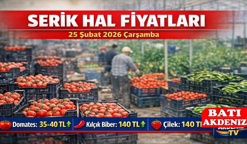 Serik Hal Fiyatları 25 Şubat 2026 Çarşamba