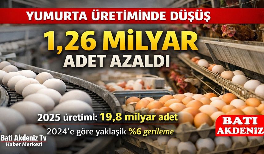 Yumurta Üretiminde Düşüş: 1,26 Milyar Adetlik Azalma