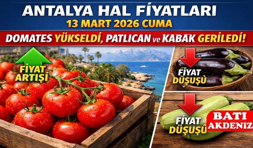 Antalya Hal Fiyatları 13 Mart 2026 Cuma: Domates Yükseldi, Patlıcan ve Kabak Geriledi