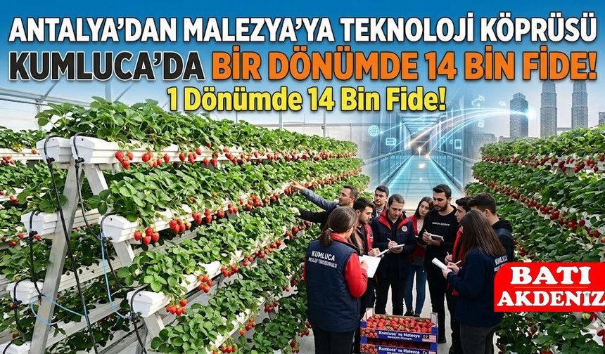 Topraksız Tarımda Verim Rekoru: Kumluca'dan Dünyaya Teknoloji Köprüsü