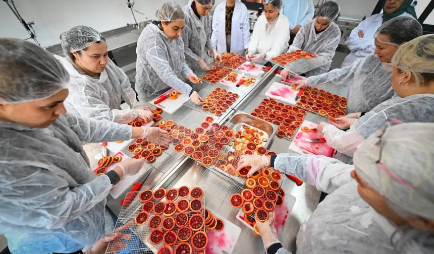 Mersinli kadınlar kan portakalını geleceğe taşıyor