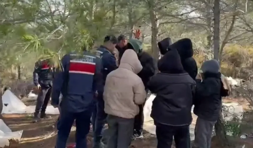 24ilde kaçak göçmen operasyonu