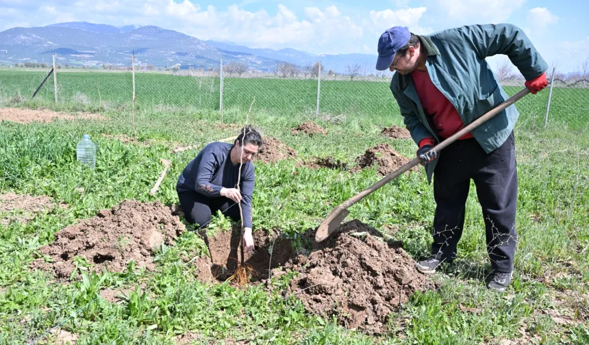 Antalya Korkuteli ilk kez ipekböcekçiliği ile tanışıyor