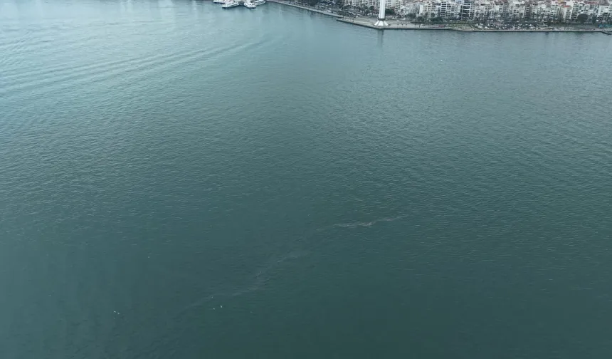 İzmir Körfezi'nde dış kaynaklı kirliliğin önüne geçilemiyor