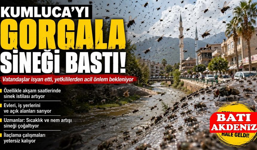 Kumluca’yı “Gorgala” Sineği Bastı! Vatandaş Tedirgin