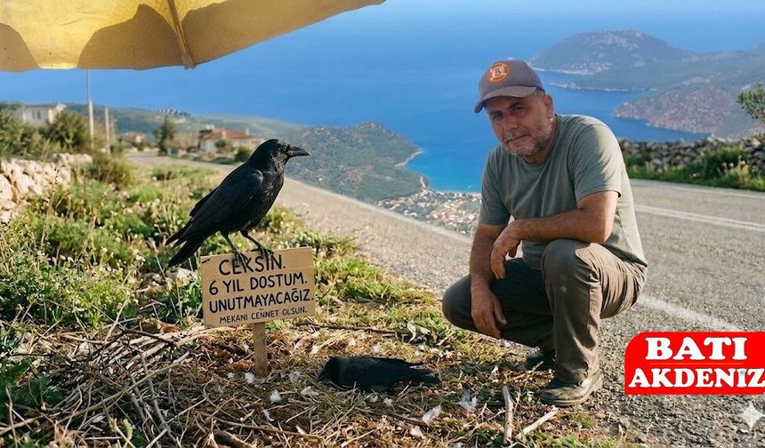 Kumluca’nın Sevilen Fenomeni 'Karga Ceksın' Hayatını Kaybetti