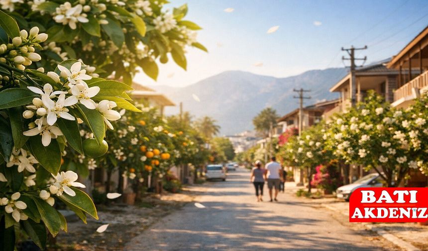 Kumluca’da Narenciye Çiçeği Kokusu Sokakları Sardı: Baharın En Güzel Habercisi