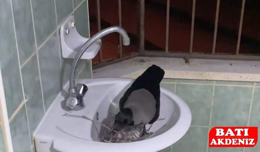 Ceksın ile İbrahim'in dostluğu sosyal medyanın gündeminde