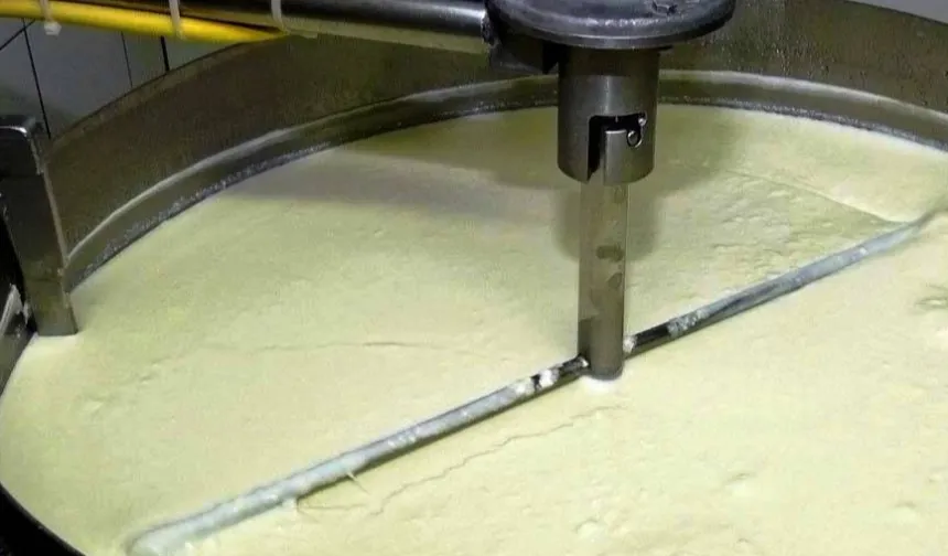 Süt ürünlerinde üretim artışı sürdü... Yoğurt üretimi liste başında