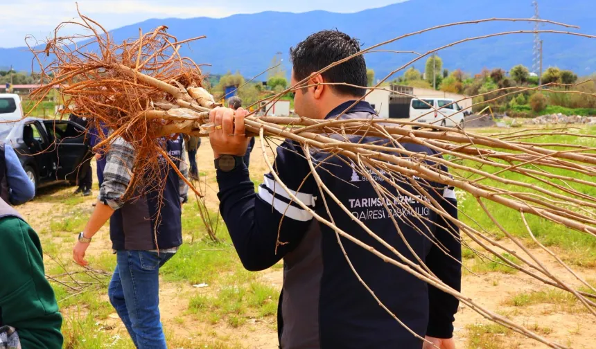 Üreticiye çifte destek