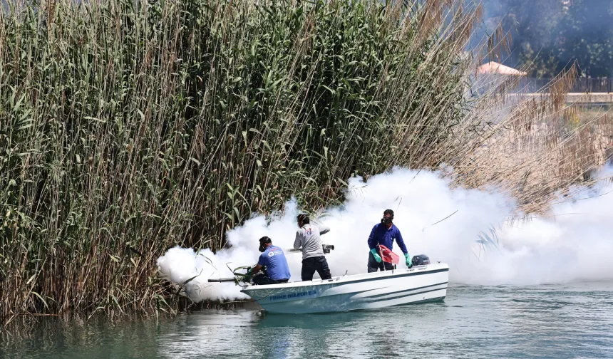 Antalya'da denizden karaya ilaçlama yapılıyor