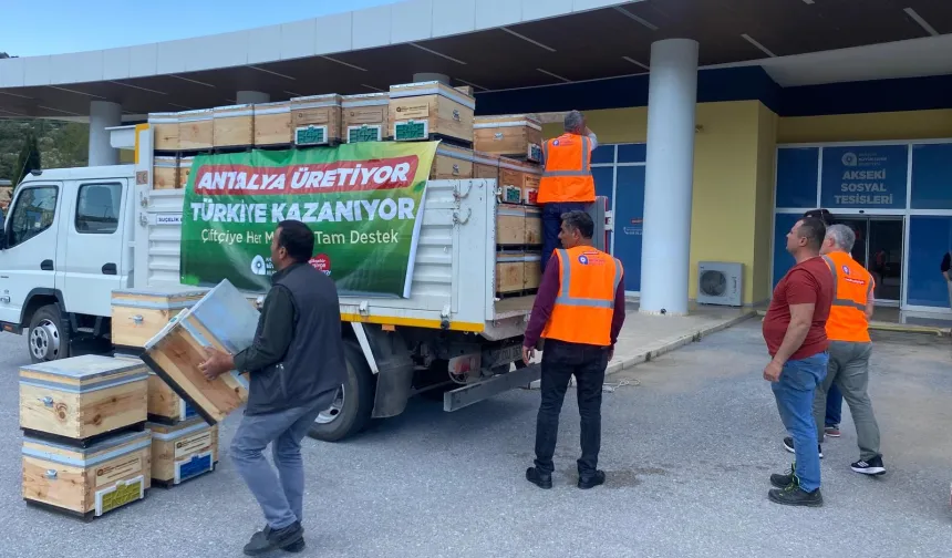 Antalya'da arı kovanı destekleri devam ediyor