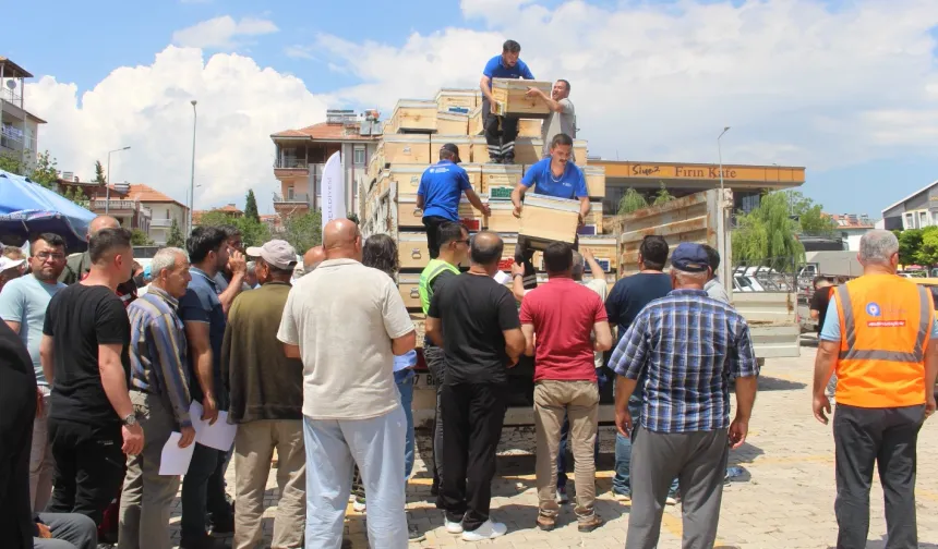 Antalya'da arıcılık faaliyetlerine hibe desteği