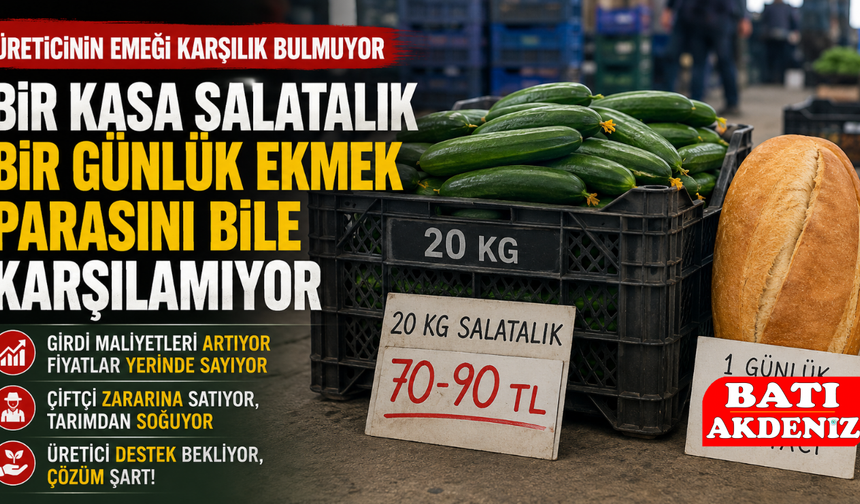 Bir Kasa Salatalık Bir Günlük Ekmek Parasını Bile Karşılamıyor