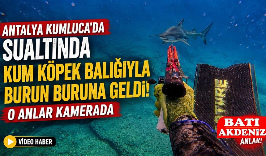 Antalya Kumluca'da Sualtında Kum Köpek Balığıyla Burun Buruna Geldi! O Anlar Kamerada