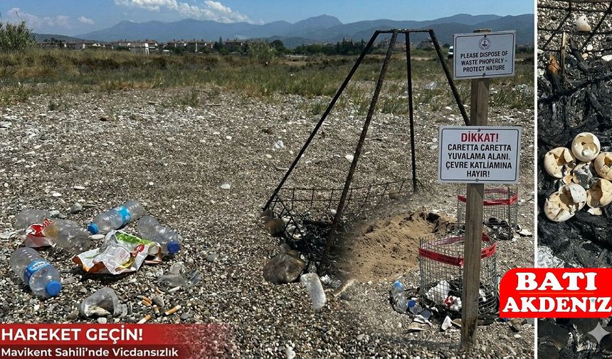 Kumluca Mavikent Sahili'nde Caretta Caretta Yuvalarına Çevre Katliamı!